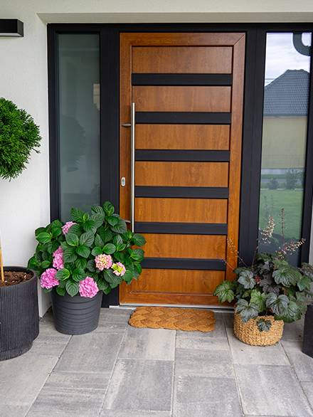 Entrance,Of,A,Modern,House,Gray,Wooden,Door,White,Walls Entrance of a modern house gray wooden door white walls and flower pots with plants